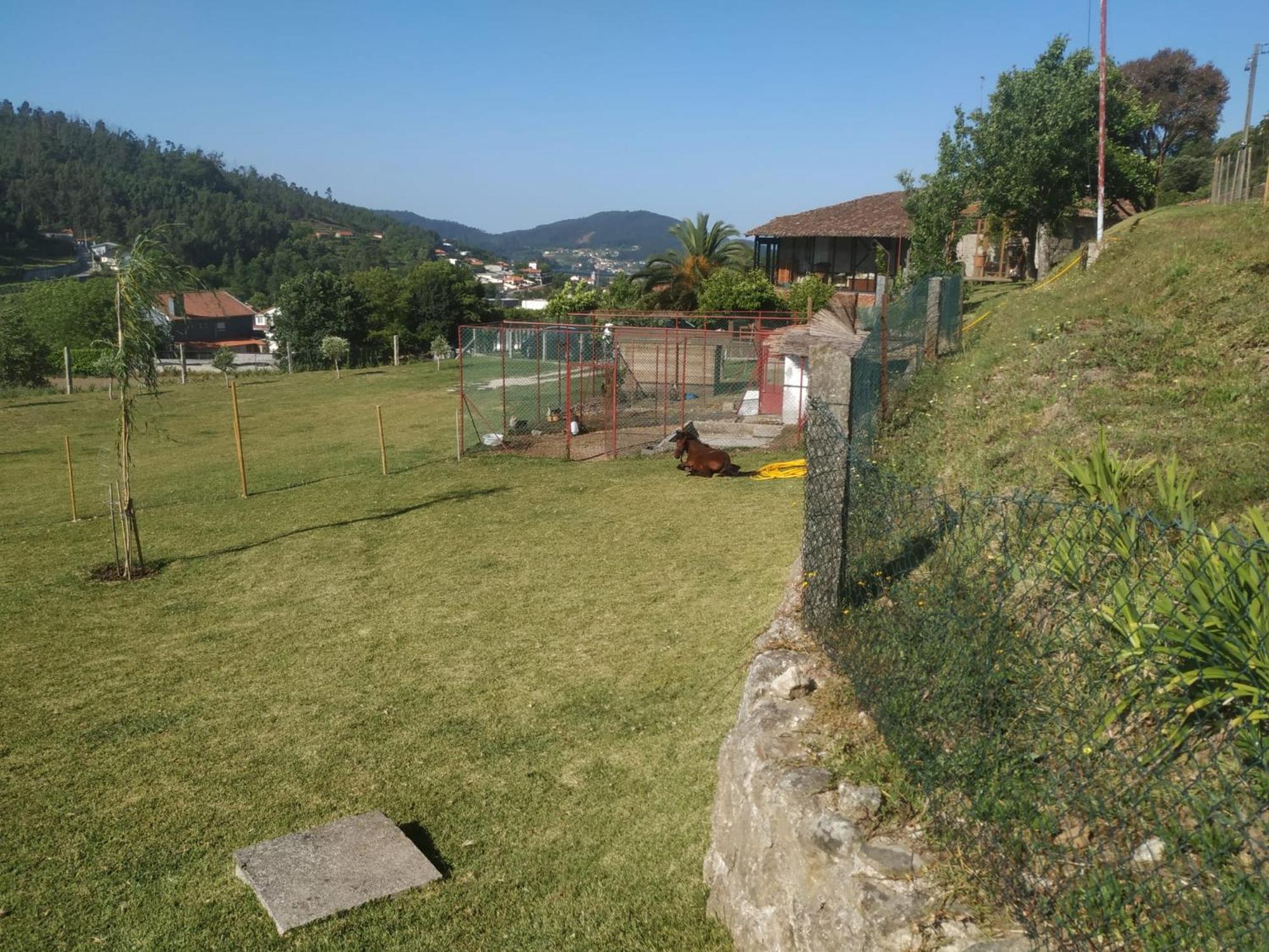 Quinta Dos Campos - Apartamento 2 Braga Esterno foto